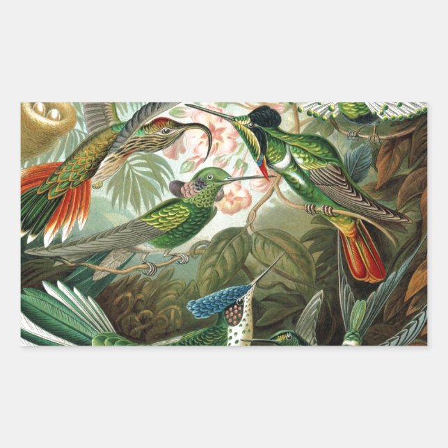Sticker Rectangulaire tableau classique de la faune des oiseaux colibris (Devant)