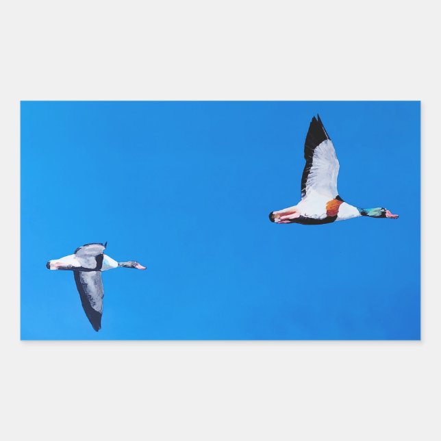 Sticker Rectangulaire Tadorne commune (Devant)