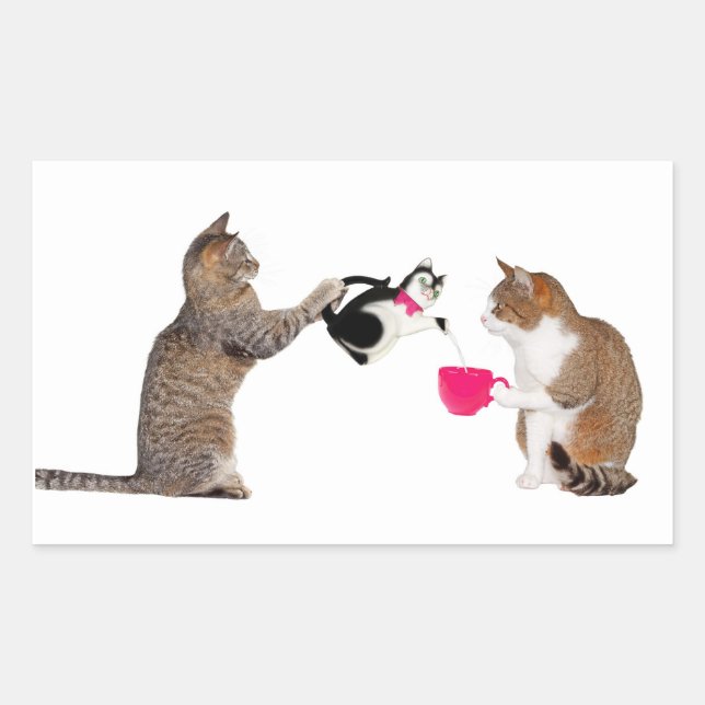 Sticker Rectangulaire Teatime pour chats (Devant)