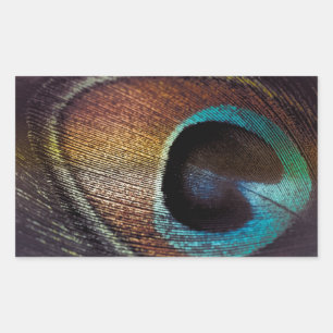 Sticker Rectangulaire Teinte Antique Oeil de Plume de Paon