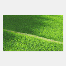 Terrasses de riz Yamada's Rice Fields Japon