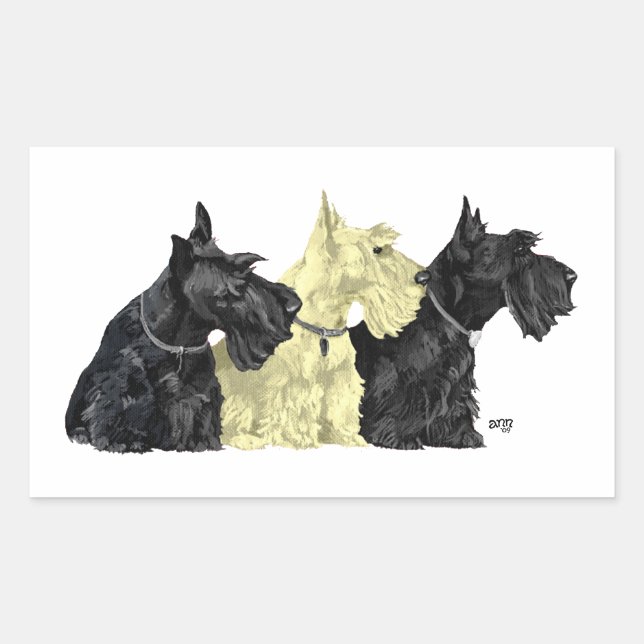 Sticker Rectangulaire Terriers écossais noirs et roux (Devant)