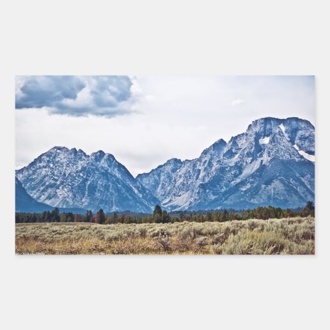 Sticker Rectangulaire Teton 6976 (Devant)
