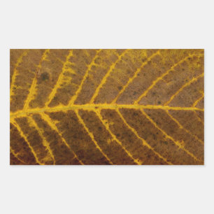 Sticker Rectangulaire texture feuille d'arbre d'automne motif arrière - 
