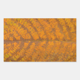 Sticker Rectangulaire texture feuille d'arbre d'automne motif arrière -