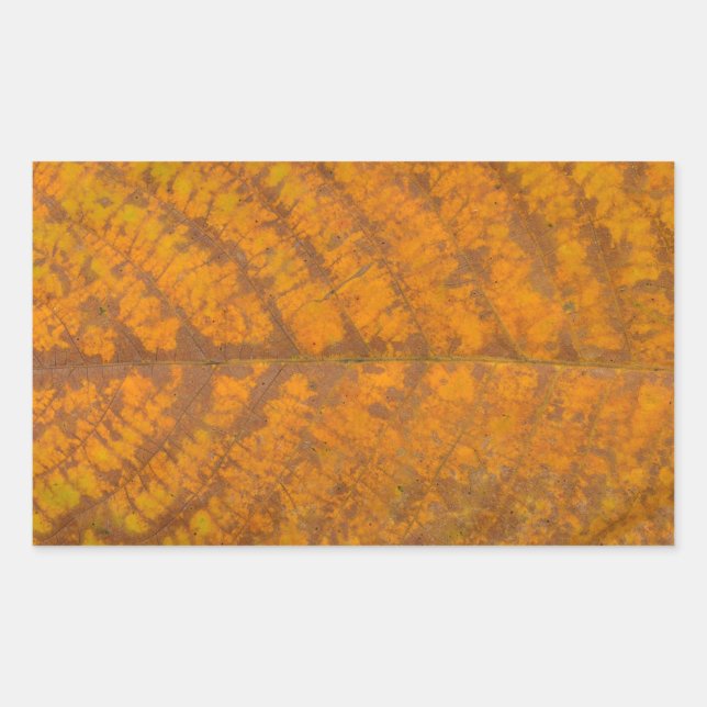 Sticker Rectangulaire texture feuille d'arbre d'automne motif arrière -  (Devant)