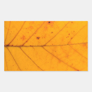 Sticker Rectangulaire texture feuille d'arbre d'automne motif arrière -
