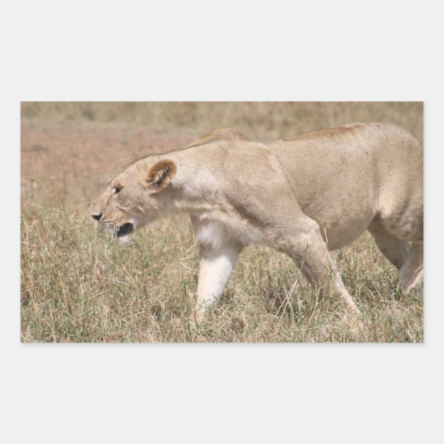 Sticker Rectangulaire tige de lion (Devant)