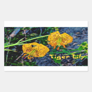 Sticker Rectangulaire Tiger Lily