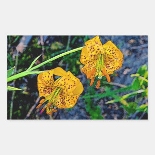 Sticker Rectangulaire Tiger Lily