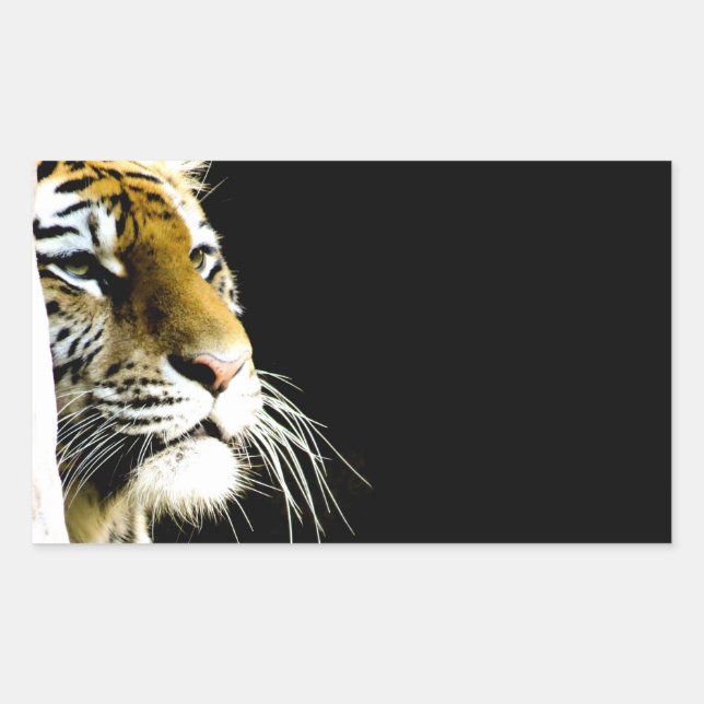 Sticker Rectangulaire Tigre (Devant)