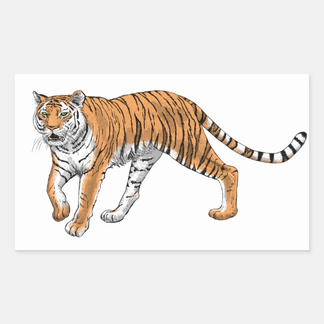 Sticker Rectangulaire Tigre 2 (Devant)