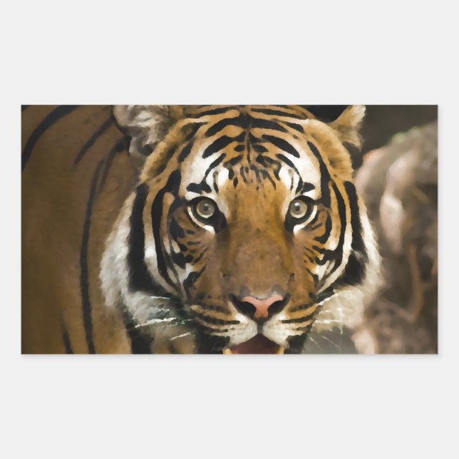Sticker Rectangulaire Tigre de Sibérie (Devant)