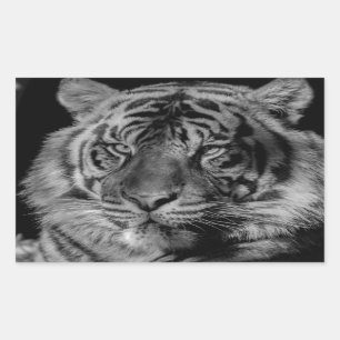 Sticker Rectangulaire Tigre noir et blanc