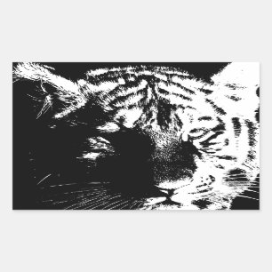 Sticker Rectangulaire Tigre noir et blanc Pop Art