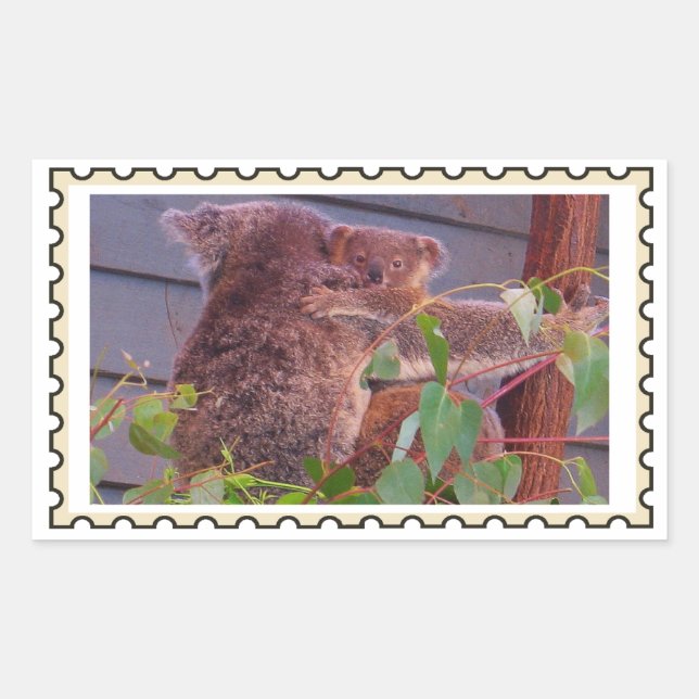 Sticker Rectangulaire Timbre faux de bébé koala  (Devant)