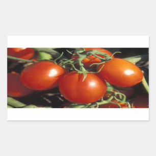 Sticker Rectangulaire Tomates rouges