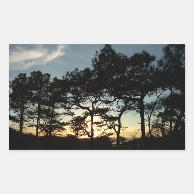 Sticker Rectangulaire Torrey Pine Sunset II Californie Paysage (Devant)