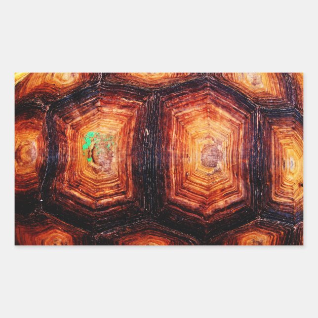 Sticker Rectangulaire Tortois (Devant)