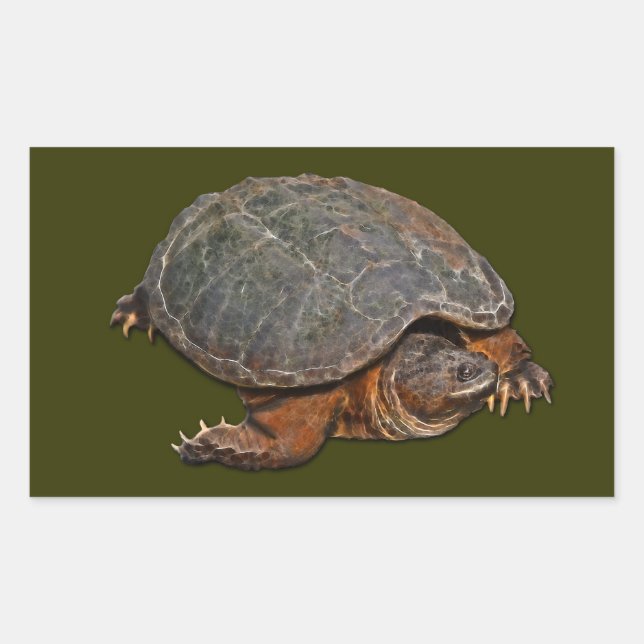 Sticker Rectangulaire Tortue serpentine Terrapin-lover Cadeau (Devant)