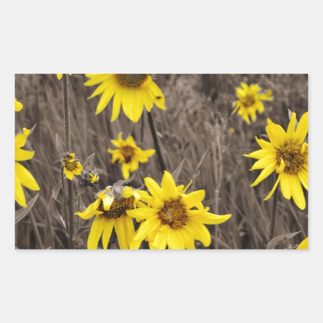 Sticker Rectangulaire Tournesol dans la Montagne Rocheuse (Devant)