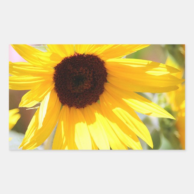 Sticker Rectangulaire Tournesol peinture numérique (Devant)