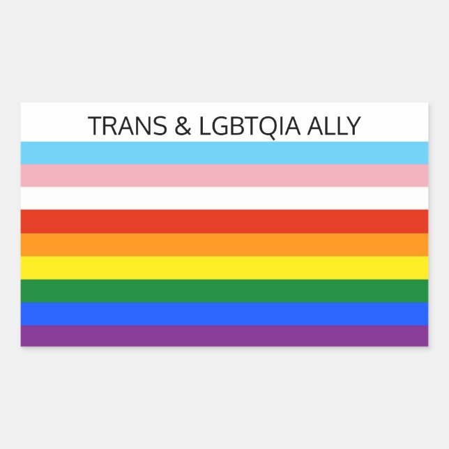 STICKER RECTANGULAIRE TRANS & LGBTQIA ALLY (Devant)