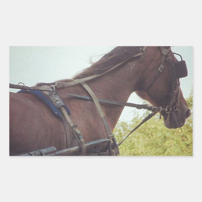 Sticker Rectangulaire Transport par cheval (Devant)