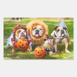 Sticker Rectangulaire Trois Bulldogs en costumes