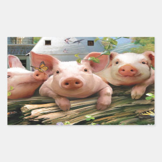 Sticker Rectangulaire Trois petits cochons