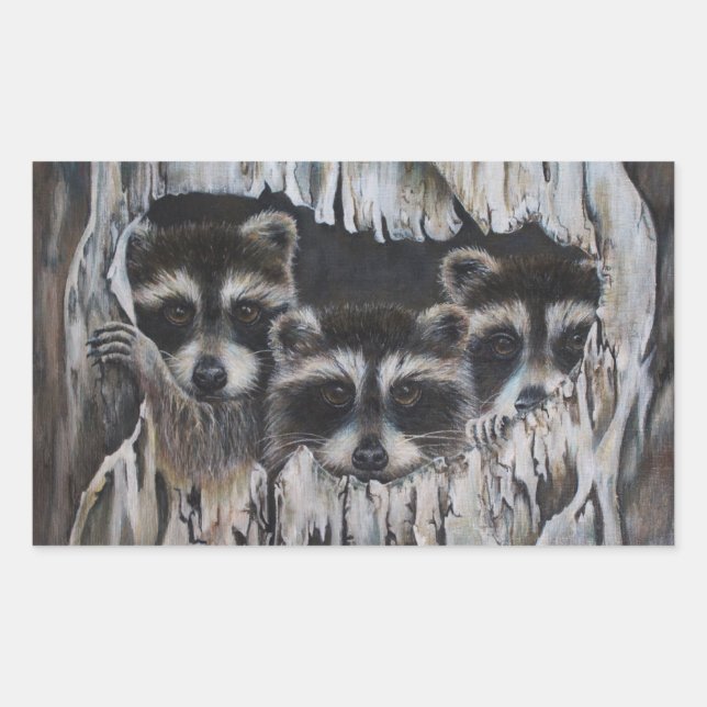 Sticker Rectangulaire Trois ratons laveurs dans un arbre (Devant)