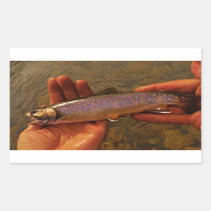 Sticker Rectangulaire Trout à Hands