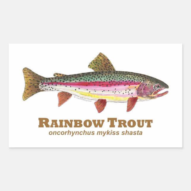 Sticker Rectangulaire Truite arc-en-ciel latine (Devant)