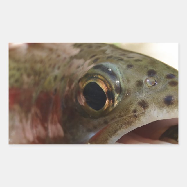 Sticker Rectangulaire Truite en main (Devant)