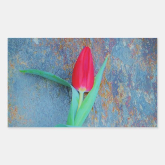 Sticker Rectangulaire Tulipe rouge sur ardoise gris bleu (Devant)