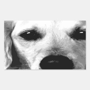 Sticker Rectangulaire Un golden retriever noir et blanc
