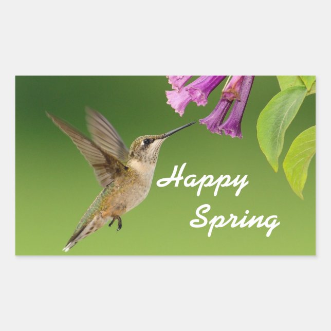 Sticker Rectangulaire Un printemps heureux pour colibri (Devant)