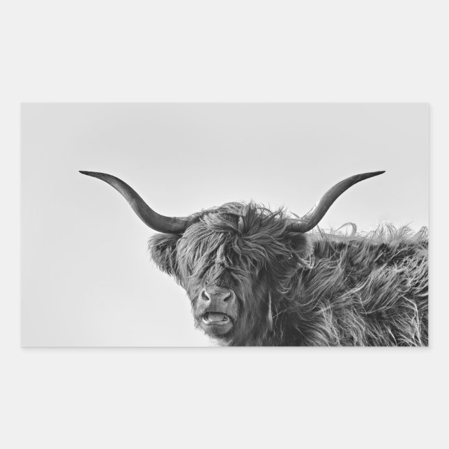 Sticker Rectangulaire Vache des hautes terres robuste en monochrome (Devant)