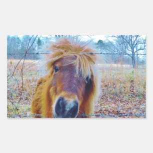 Sticker Rectangulaire Valentine Heart Horse