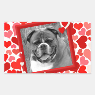 Sticker Rectangulaire Valentines Boxer Chien Coeurs