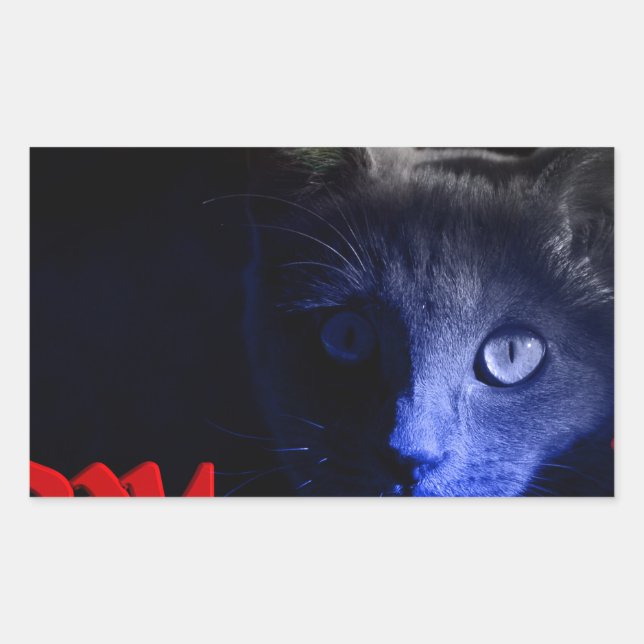 Sticker Rectangulaire vendredi 13 (Devant)