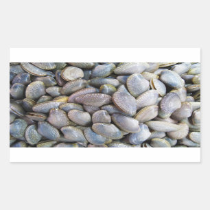 Sticker Rectangulaire Venus Clam [ห อ ย ล า ย]