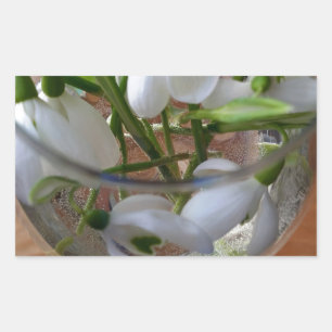 Sticker Rectangulaire verre de drops