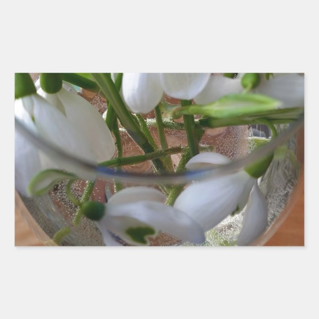Sticker Rectangulaire verre de drops (Devant)
