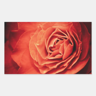 Sticker Rectangulaire vivant rose