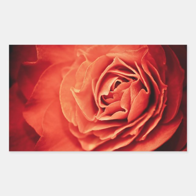 Sticker Rectangulaire vivant rose (Devant)