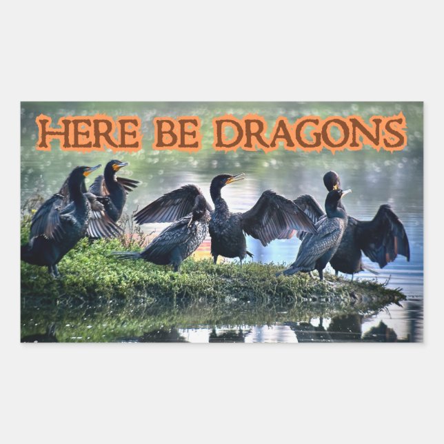 Sticker Rectangulaire Voici Dragons Cormorants (Devant)
