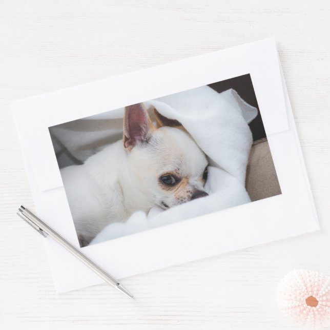 Sticker Rectangulaire Votre chiot chien de compagnie photo personnalisée (Enveloppe)