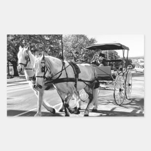 Sticker Rectangulaire Voyage Intemporel