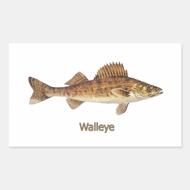 Sticker Rectangulaire Walleye (Grands Lacs) (Devant)